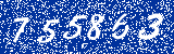 Capcha image